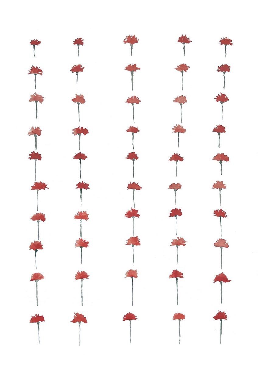 Maria Rocha - ilustração patente na exposição "Mostra dos Cravos", Abril 2022 no Porto