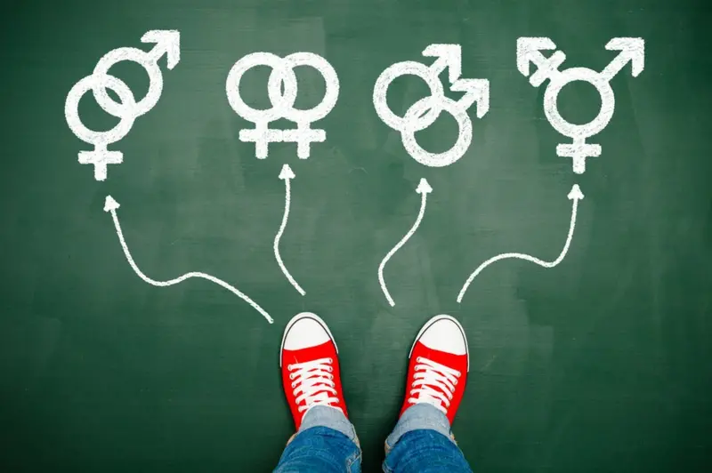 aulas de cidadania e a exclusão da sexualidade