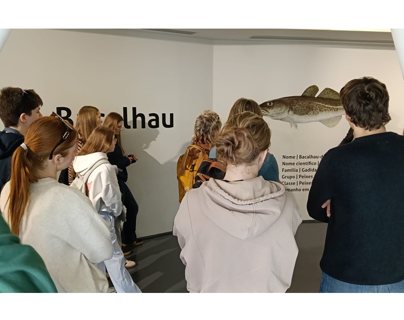 Instituto Duarte de Lemos estudantes e professoras da Alemanha e Eslováquia. 