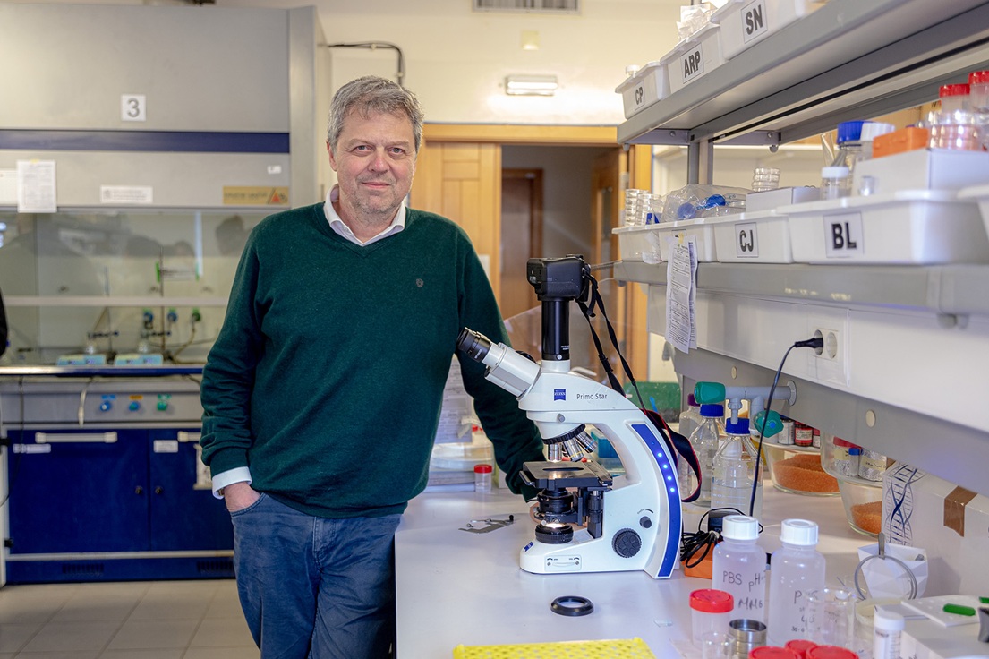 Dez milhões para estudar células arquitetas de biomateriais.