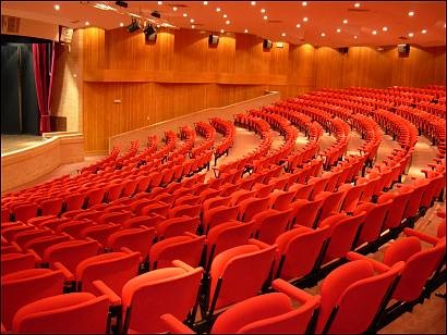 Aveiro: Espetáculo no centro de congressos ajuda causa animal.