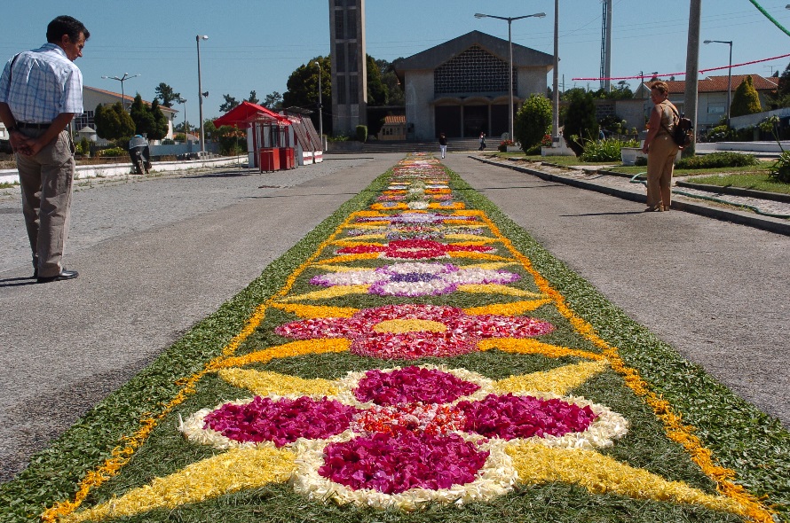 Aveiro: Festa em honra de São Bernardo agendada para este fim de semana.