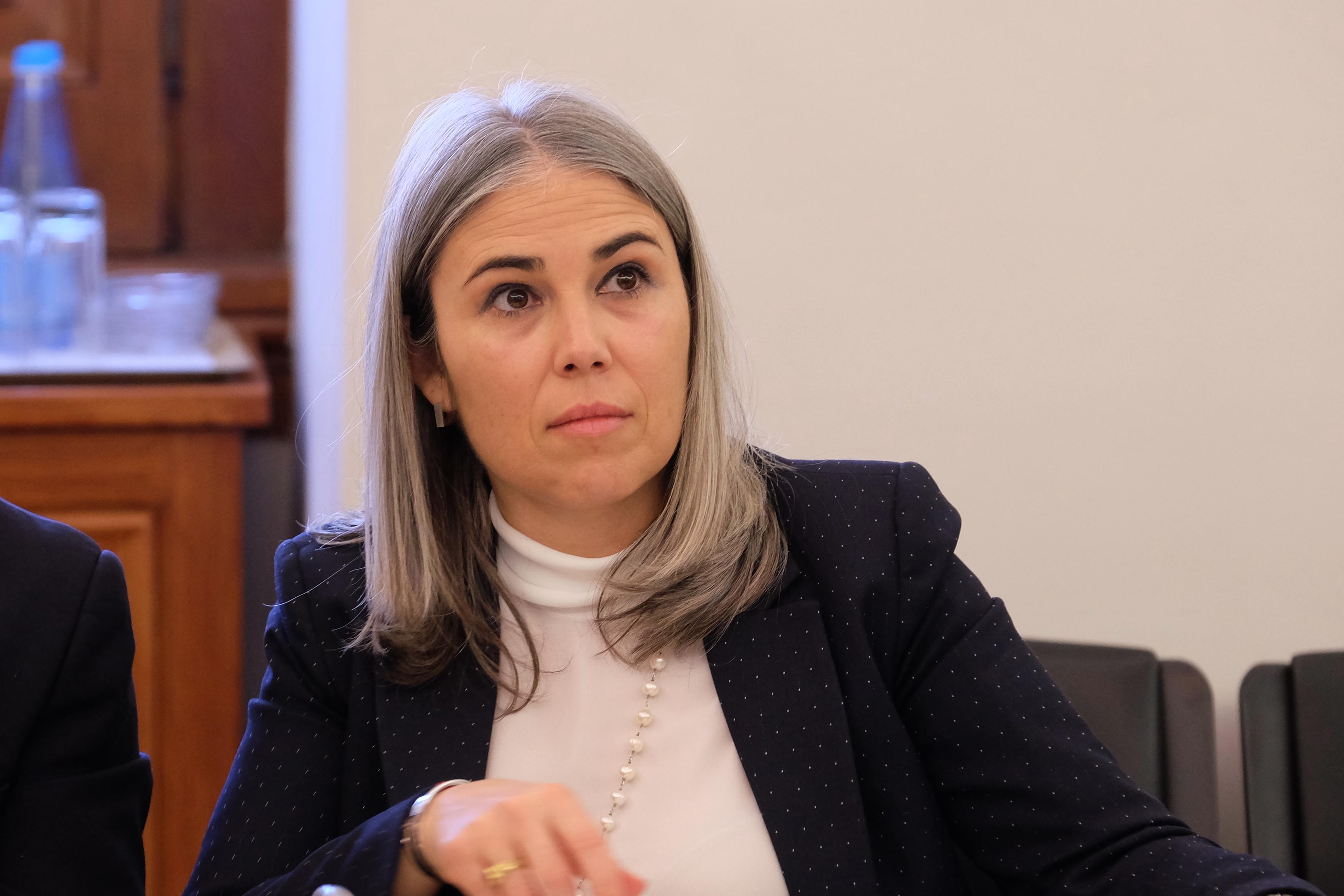Helga Correia defende compensação efetiva para cuidadores informais.