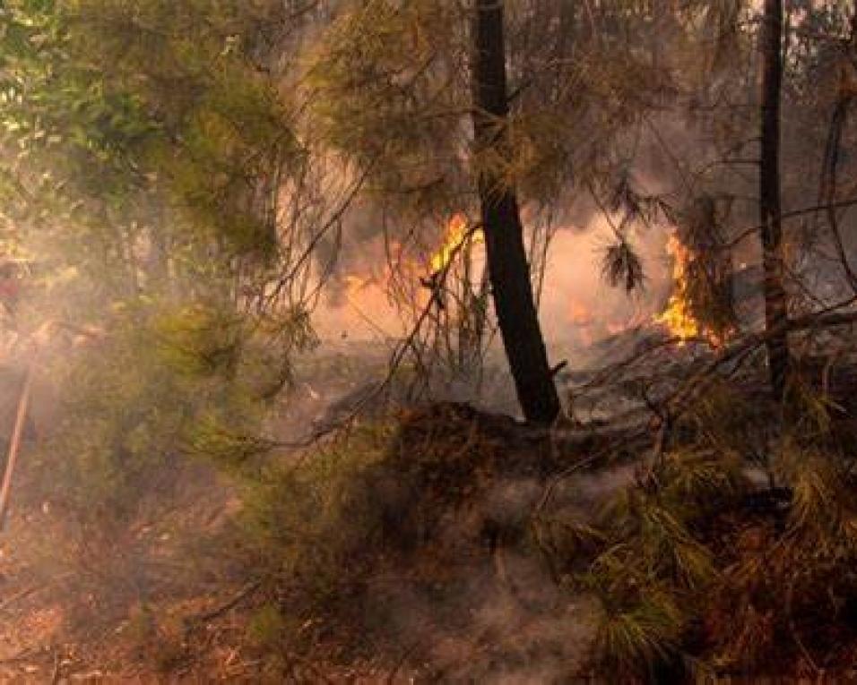 BUPi já identificou mais de 500 mil propriedades e quer ser peça fundamental no combate aos incêndios rurais.