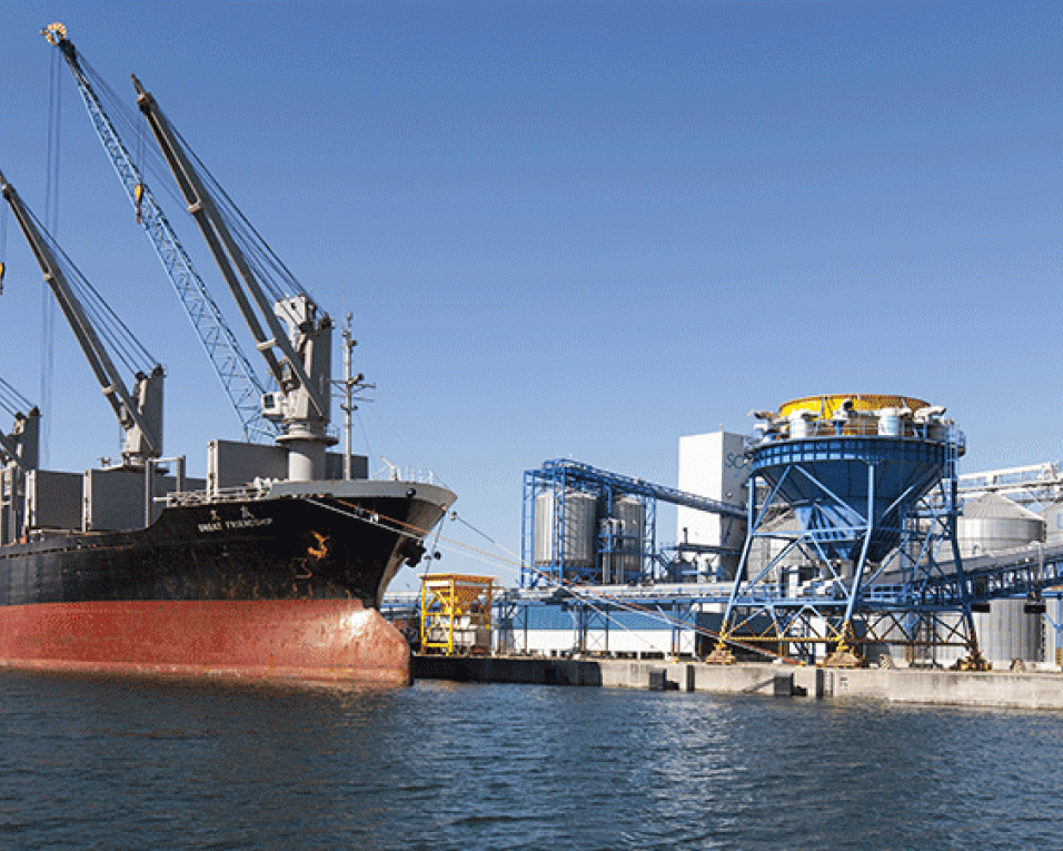 “Sentidos de Mar” visita o arquivo do Porto de Aveiro.