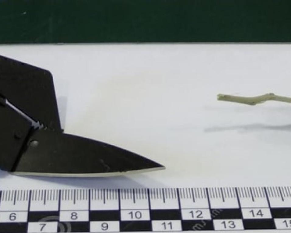 GNR de Santa Maria da Feira: Detido por posse de arma proibida.