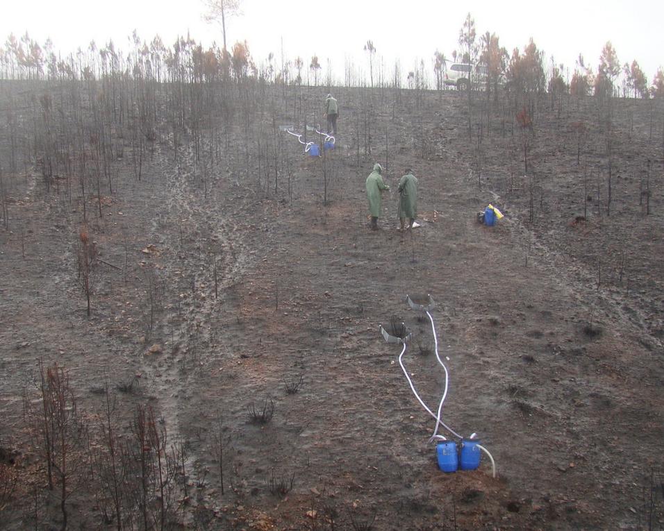 Estudo liderado pela UA destaca eficácia de tapetes vegetais contra erosão pós-fogo.