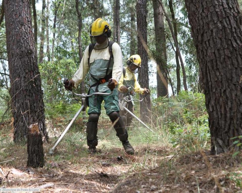 Não é fácil entrar nas Escolas para educar sobre o Meio Ambiente - (Movimento 'Alvorecer Florestal').