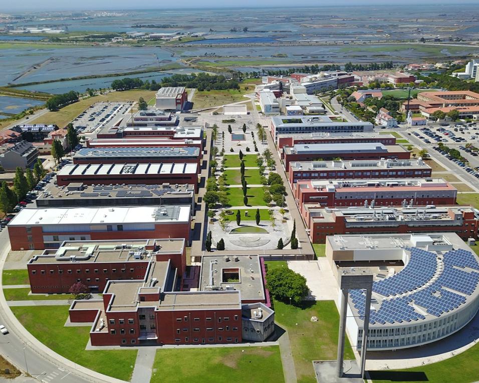 Fórum dedicado à integração territorial da cultura marcado para Aveiro.