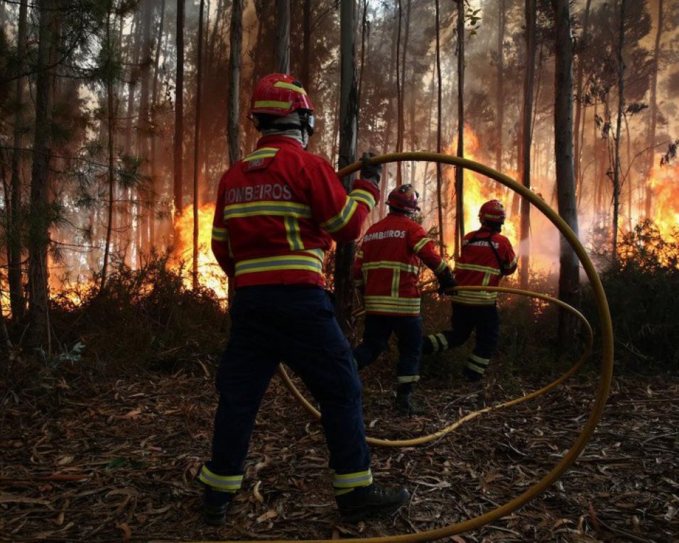 Incêndio em Ovar obrigou a evacuar casas “por prevenção”.