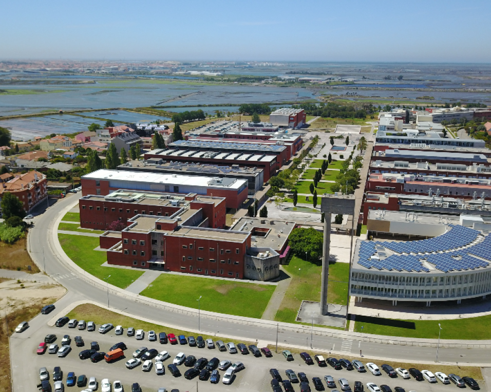 Programa Doutoral em Ciências da Reabilitação garantido na Universidade de Aveiro.