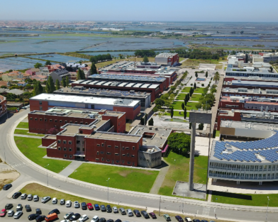 COVID-19: Universidade de Aveiro suspende aulas.