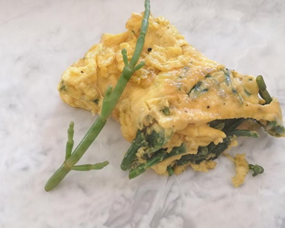 Sever do Vouga: Festa da Primavera da LANCE decorre este fim de semana.