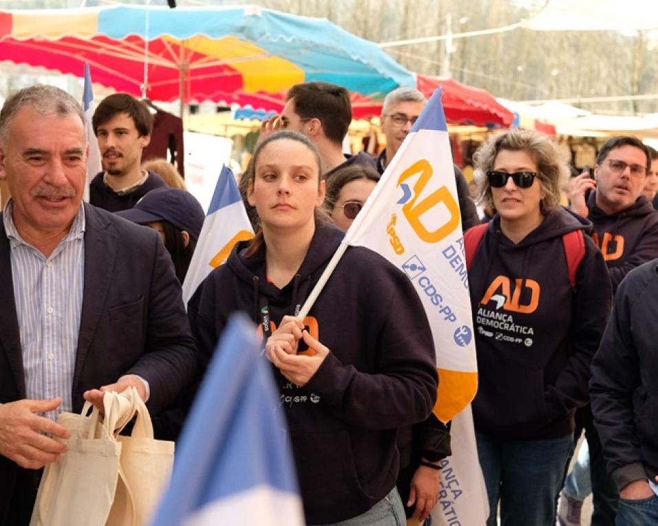 Legislativas: Aliança Democrática quer linha do Vouga na agenda.