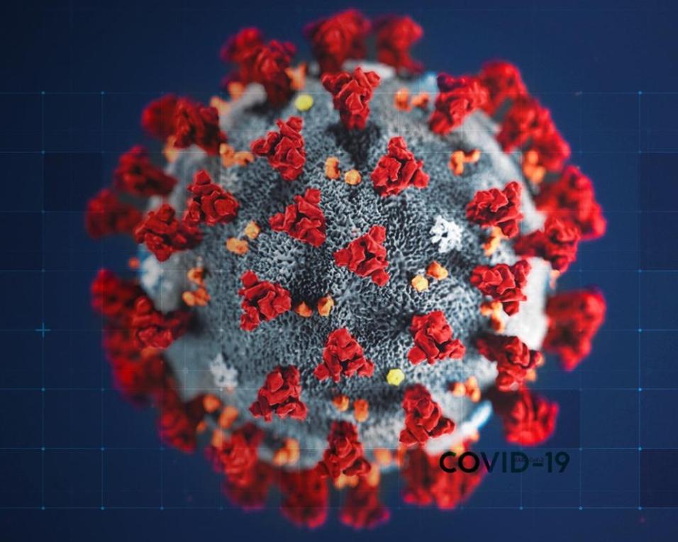 Pandemia: Portugal com mais três mortos e 244 casos de Covid-19.