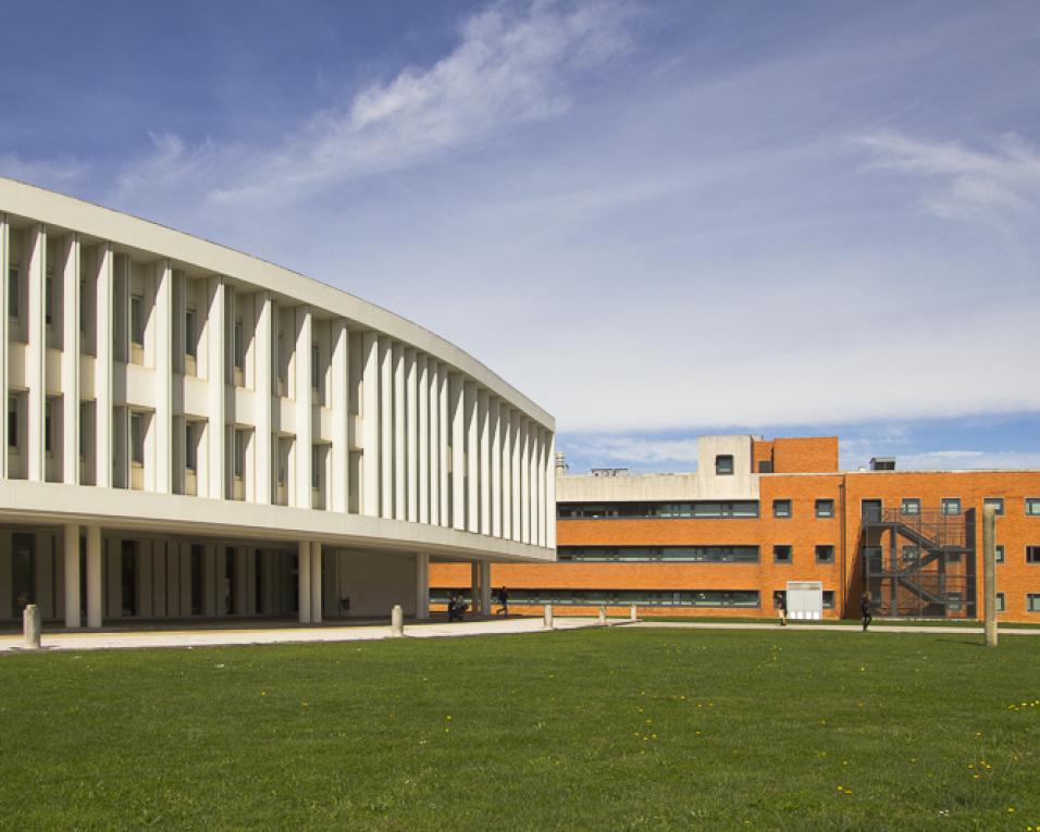 UA em destaque internacional: Academia não trabalha a pensar em rankings - Paulo Ferreira (Reitor).