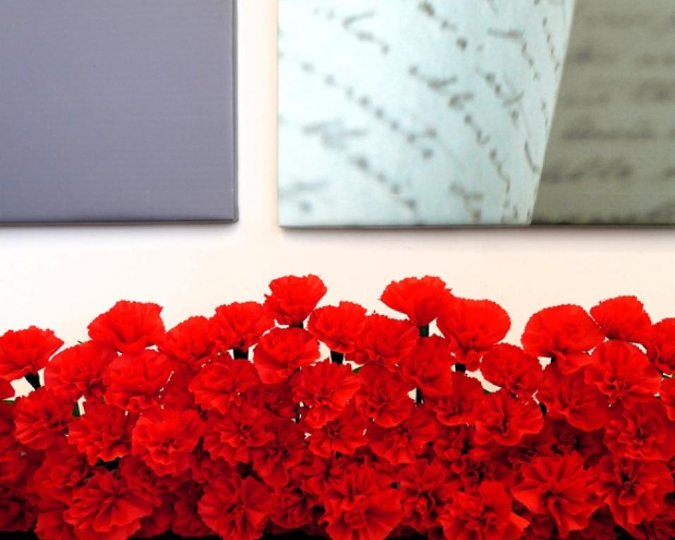 25 de abril com programa nos municipios da regiao de aveiro