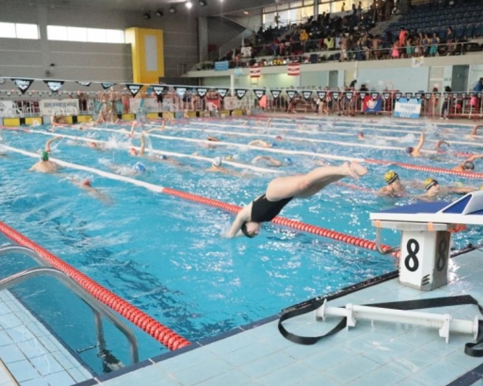 Secção de natação dos Galitos ansiosa por voltar às piscinas geridas pelo clube no centro da cidade. Treinador Élio Terrível distinguido com medalha de ouro.