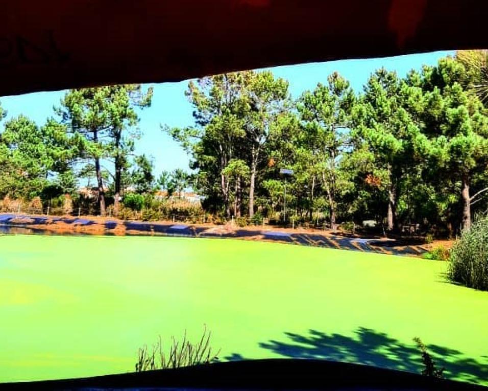 Câmara de Ovar apoia Encontro Mundial de Escuteiros em Cortegaça - 2025. Câmara de Ovar apoia Encontro Mundial de Escuteiros em Cortegaça - 2025.