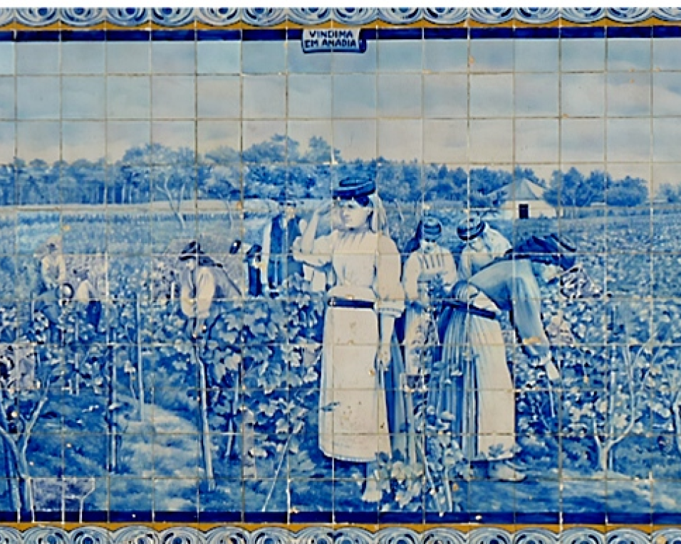 Aveiro assinala o Dia Nacional do Azulejo durante três dias.