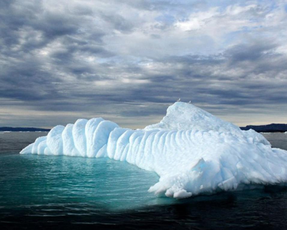 Praia de Mira recebe Campanha 'O Clima está em mudança! – Toca a Mudar Também!'.