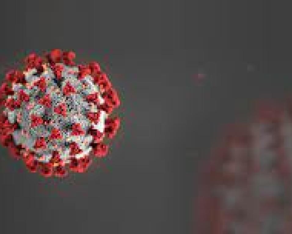 Pandemia: Incidência dispara em dia com grande aumento de internados e cinco mortos.