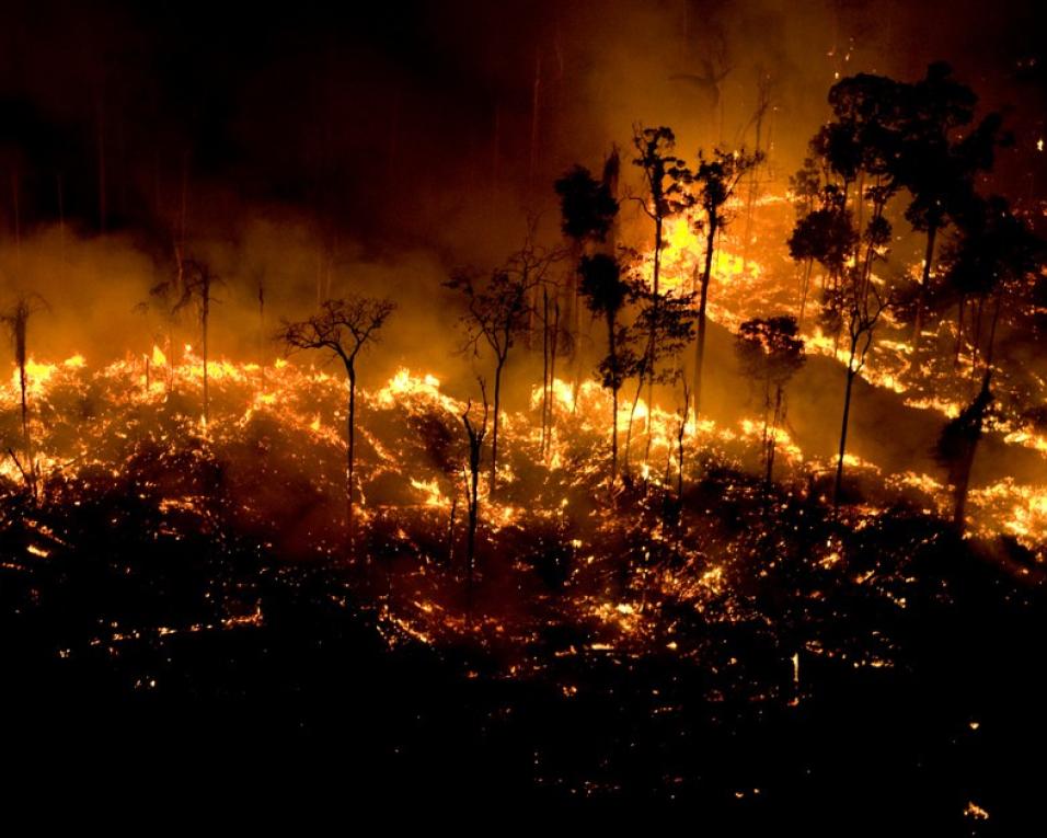 Fim-de-semana com risco máximo de incêndio florestal na região de Aveiro. Fim-de-semana com risco máximo de incêndio florestal na região de Aveiro.
