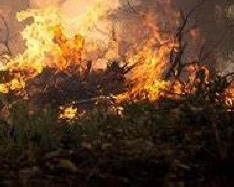 Incêndio em Aveiro entrou em resolução. Fogo controlado às 18h00. (notícia atualizada às 18h10)