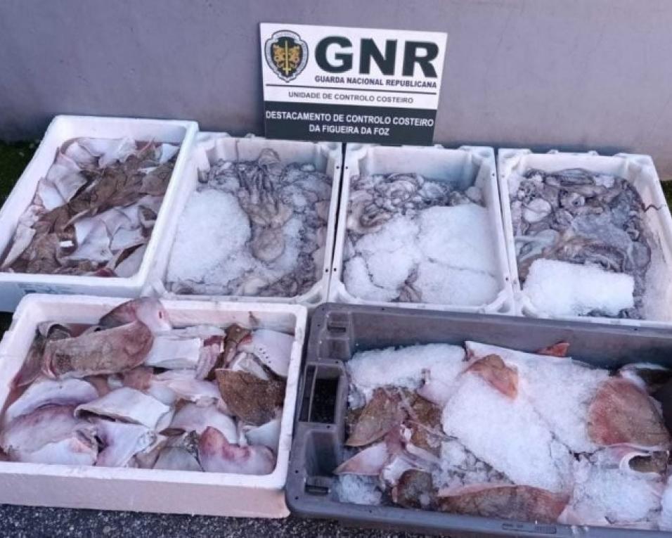 GNR apreende pescado a vendedor ambulante em Ovar.