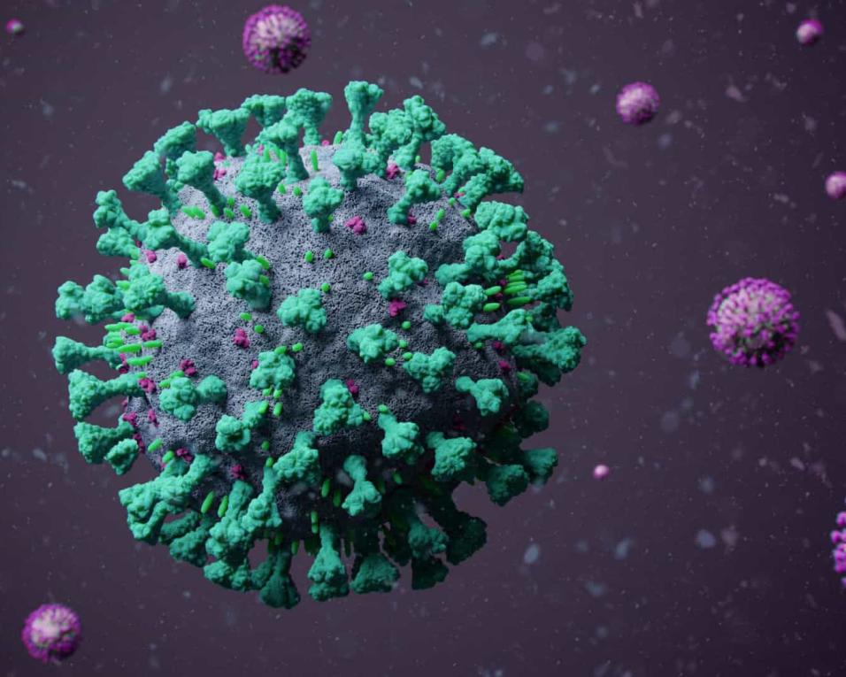   Portugal com 6.640 casos de Covid-19, novo máximo diário desde o início da pandemia e 56 mortes.