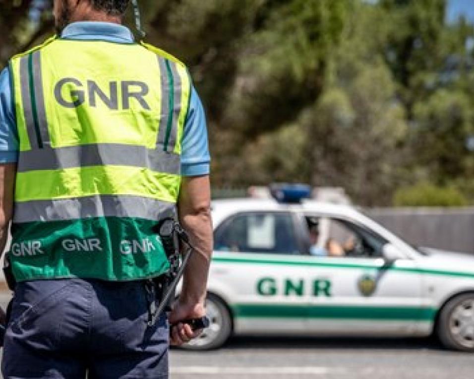 Ovar: GNR foi investigar violância doméstica e encontrou plantação de canabis.