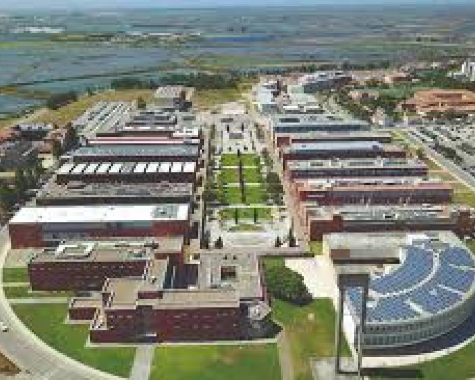 Universidade de Aveiro celebra Dia Internacional da Língua Materna.