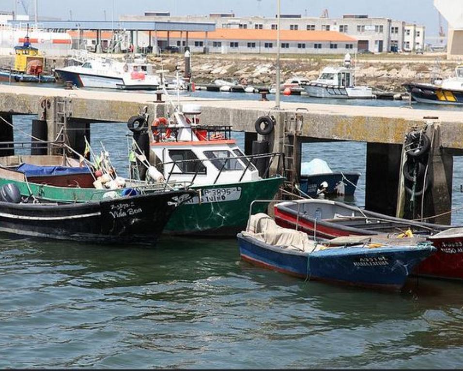 Gafanha da Nazaré: Peixe com preço em baixa na Lota devido à quebra no mercado Espanhol. Gafanha da Nazaré: Peixe com preço em baixa na Lota devido à quebra no mercado Espanhol.
