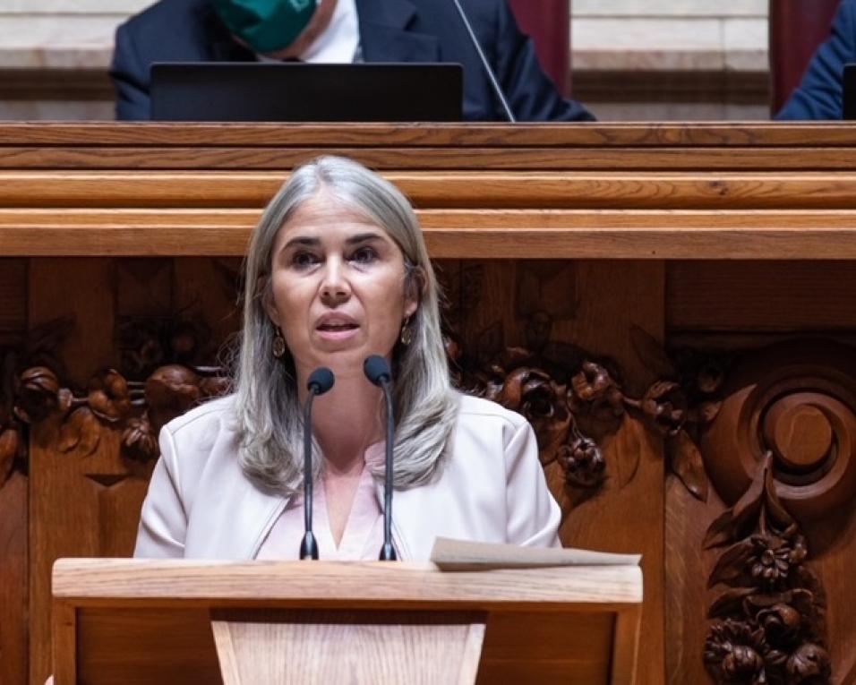PSD: Helga Correia quer cobertura da rede social das creches alargada para 60 por cento. PSD: Helga Correia quer cobertura da rede social das creches alargada para 60 por cento.