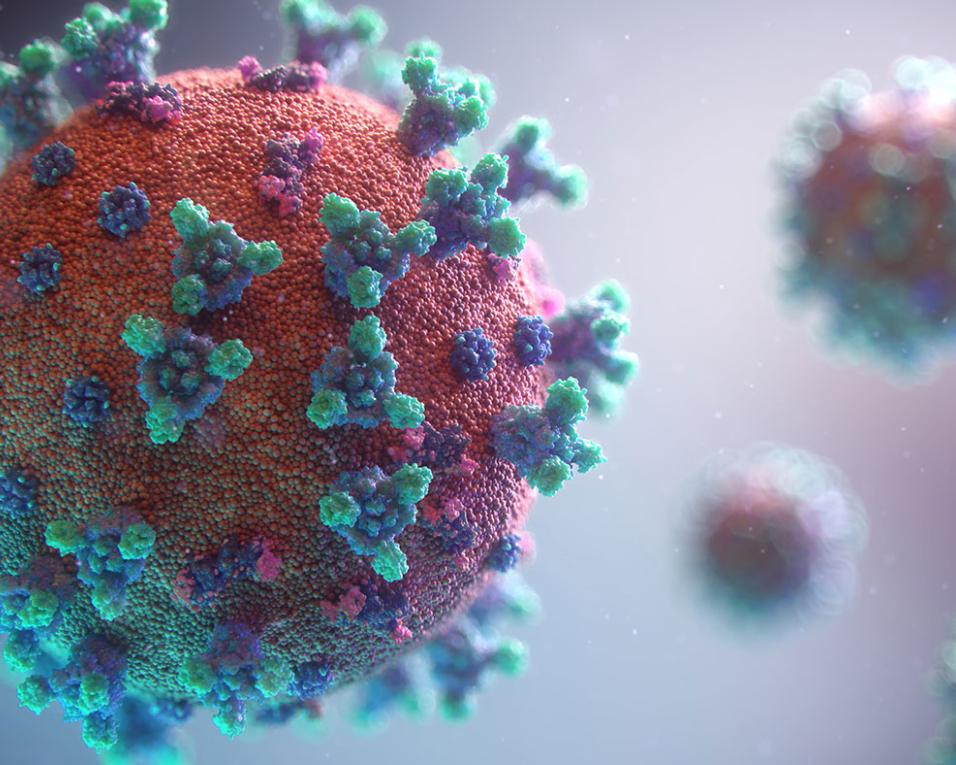 Pandemia: Braga, Lisboa, Odemira e Vale de Cambra não avançam no desconfinamento.