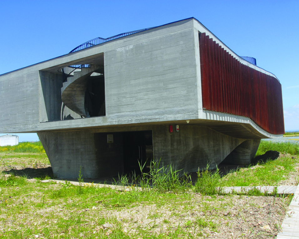 Conversas sobre a Biodiversidade da Ria de Aveiro no CMIA.