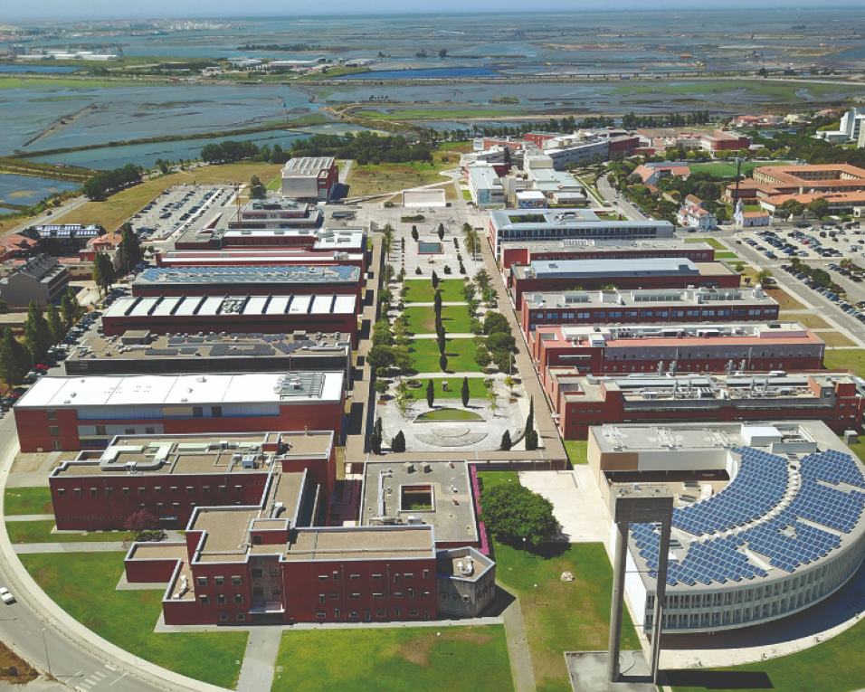 Universidade de Aveiro comemora o 46.º aniversário com uma homenagem a Sophia de Mello Breyner Andersen. 