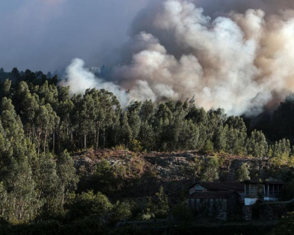 Dados provisórios apontam para 2600 hectares ardidos em Oliveira de Frades. Sobre a limpeza de matas ainda temos muito por fazer - Eduardo Cabrita.