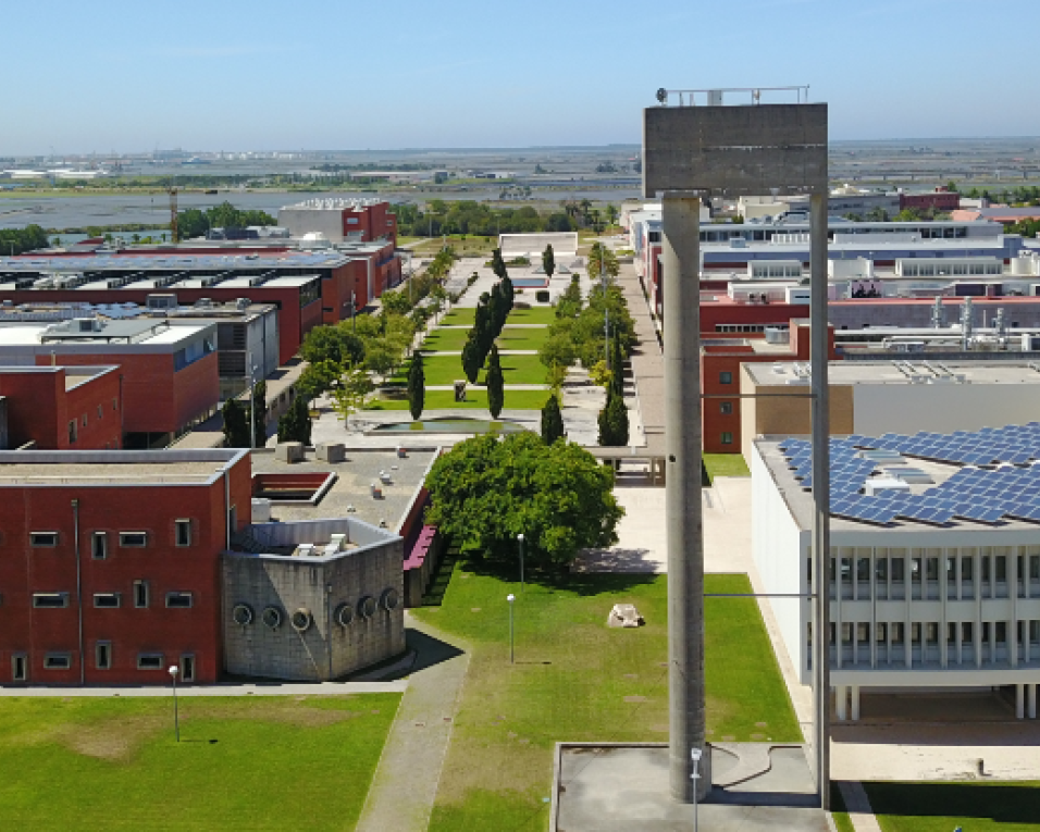 UNAVE promove Curso de Técnico Superior em Gestão de Segurança e Saúde no Trabalho.