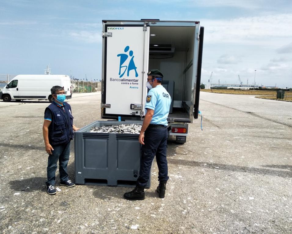 GNR: 1.750 quilos de sardinha e 211 quilos de amêijoa branca apreendidos na Gafanha da Nazaré.