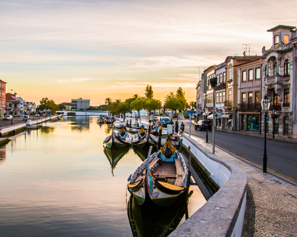 Dia da Região de Aveiro é assinalado no fim-de-semana.