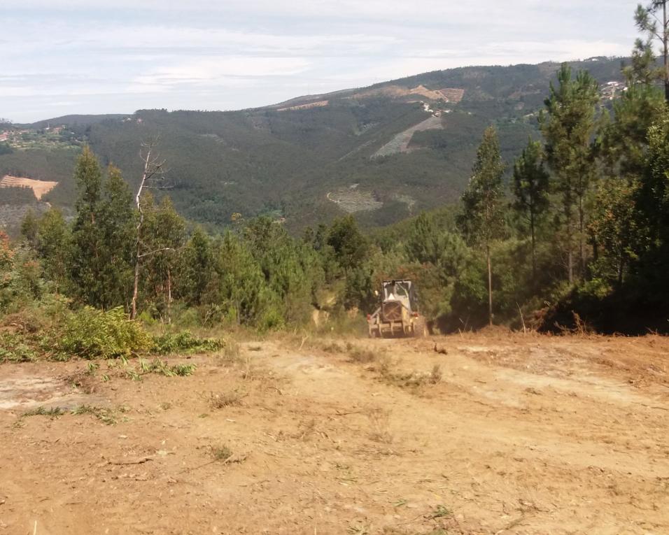 Câmara de Águeda está a reabilitar e a abrir caminhos na floresta do Concelho.