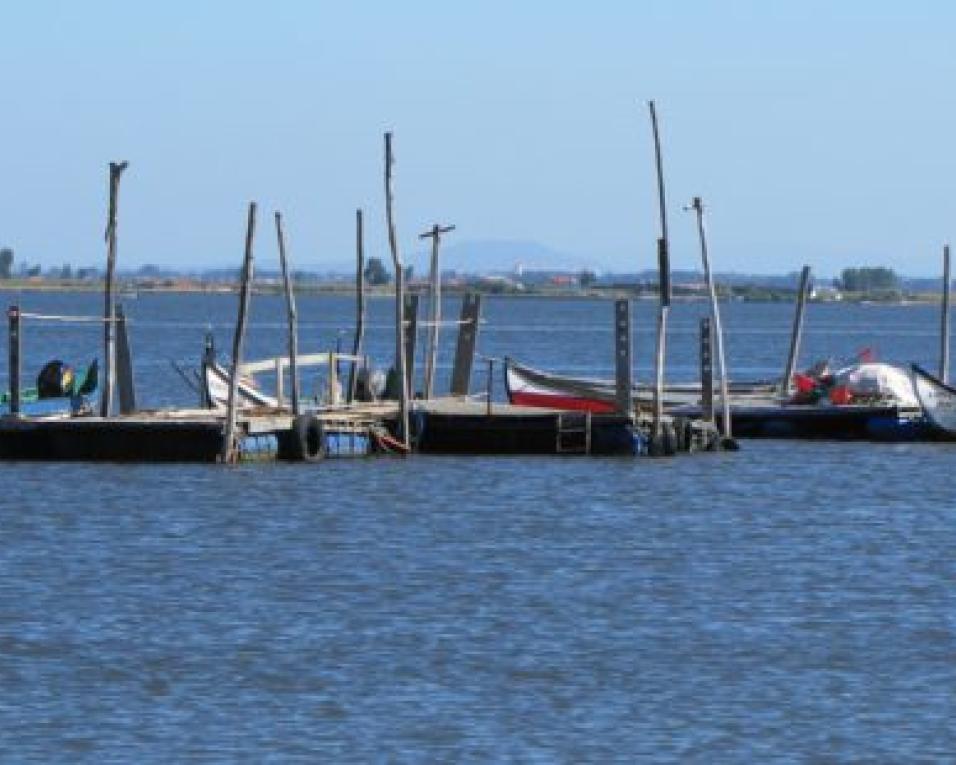 Rotary Club de Aveiro promove palestra sobre 'Desassoreamento da Ria de Aveiro'.