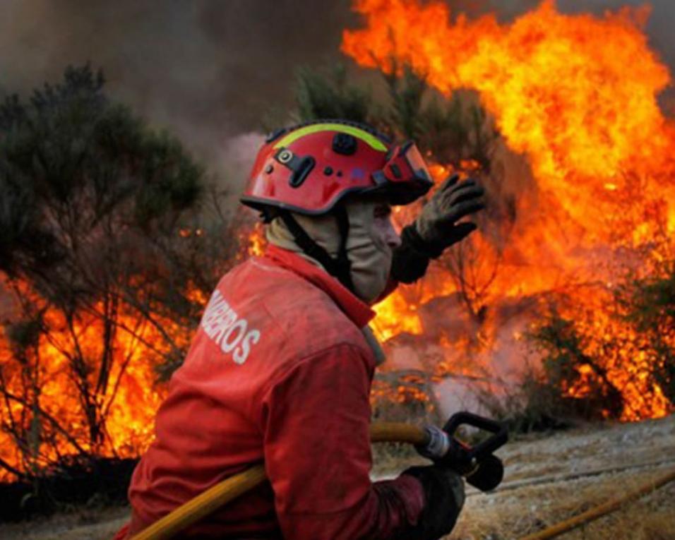 Incêndios: Mais de 40 pessoas retiradas de casa em Albergaria-a-Velha.