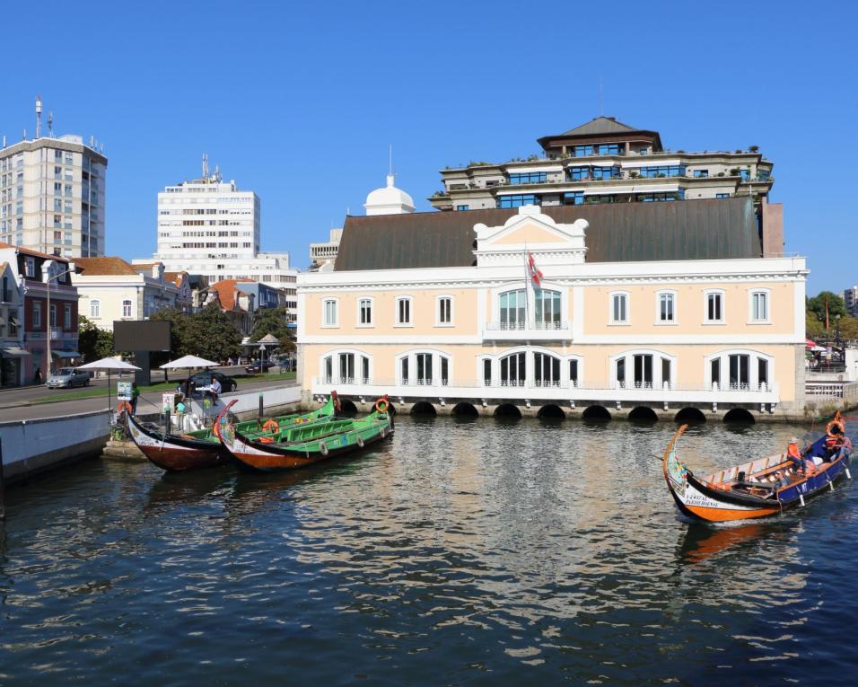 Exposição 'Avenida. Uma história com futuro' é inaugurada na sexta-feira em Aveiro.