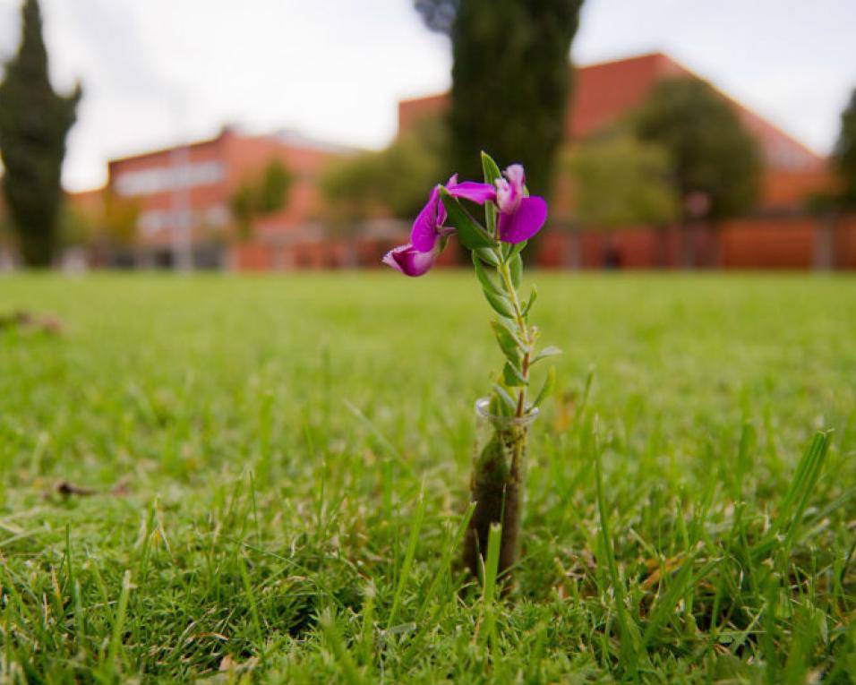 Projeto com parceria da UA avalia a sustentabilidade de ideias de negócio.