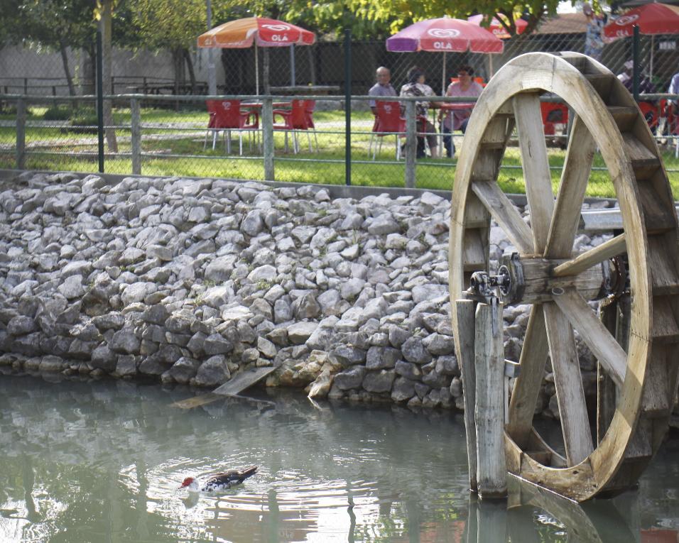 Aprovado estudo urbanístico da zona envolvente ao Parque do Rio Novo na Mamarrosa.