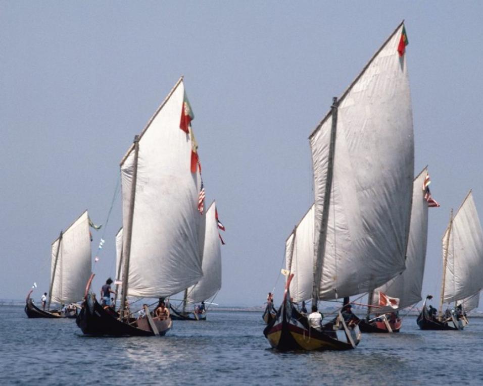 Grande Regata dos Moliceiros é já este fim-de-semana.