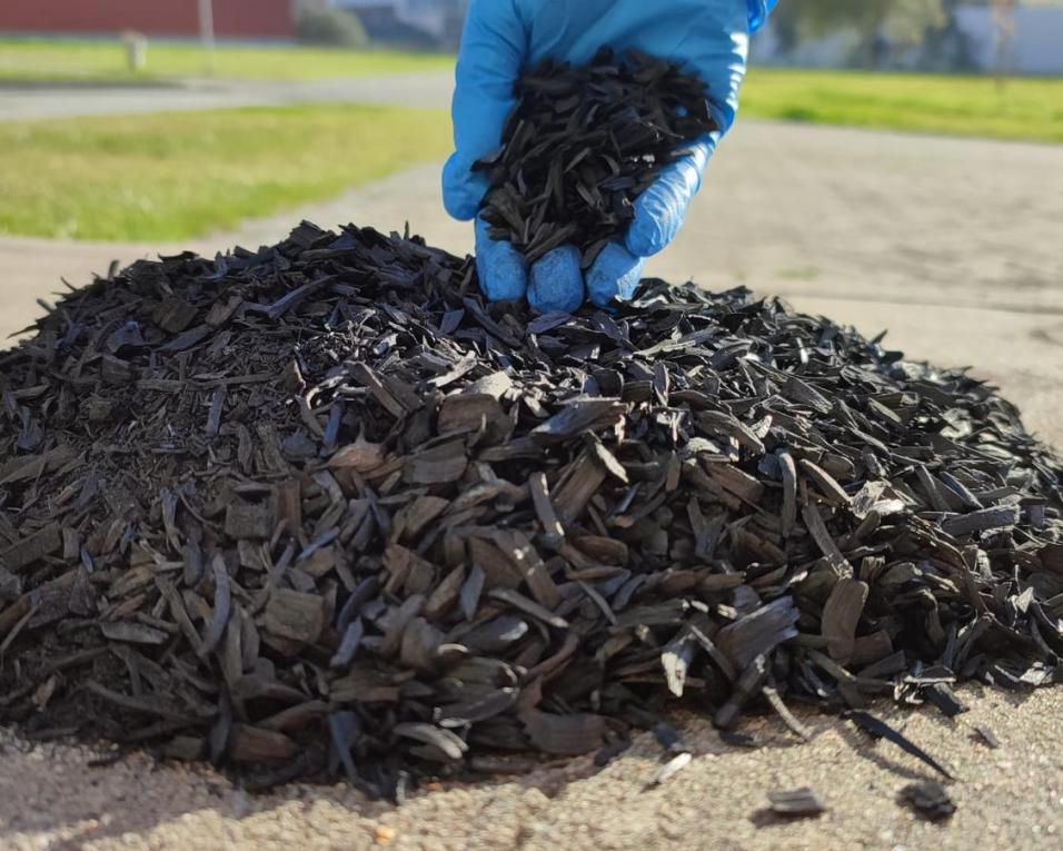 Gestão e valor da biomassa em espaços rurais: Biochar como vetor de Economia Circular.