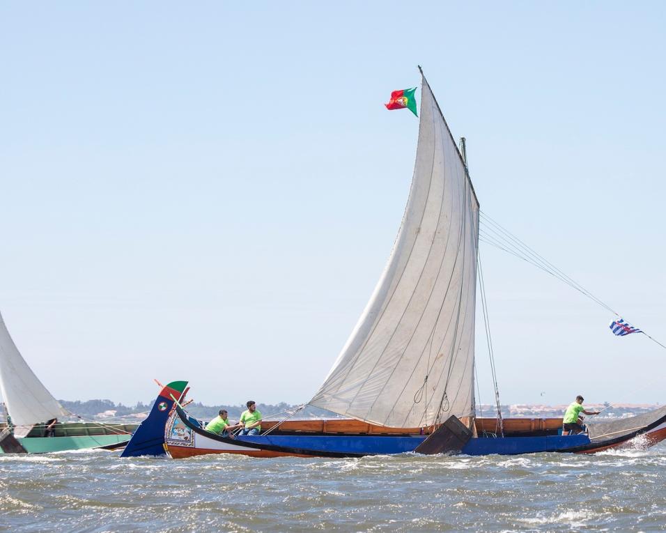 Moliceiro 'Marco Silva' venceu Regata de Barcos Moliceiros da Ria de A­veiro.